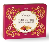 VICENTINI SCATOLA LATTA GR.500 GELATINE